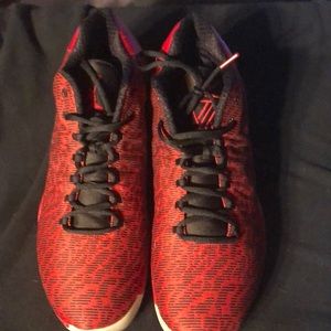 Jordan 29 low Jimmy Buckets